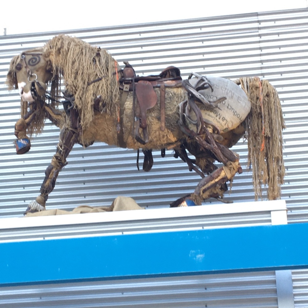 Meet your Posher, Janet